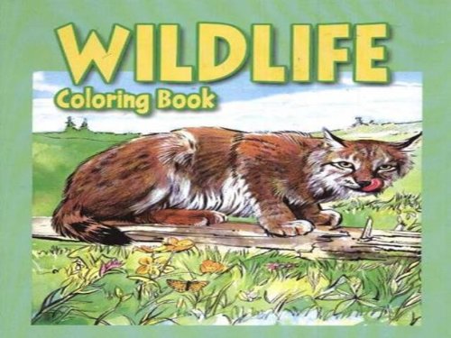 Image for Wildlife Coloring Book