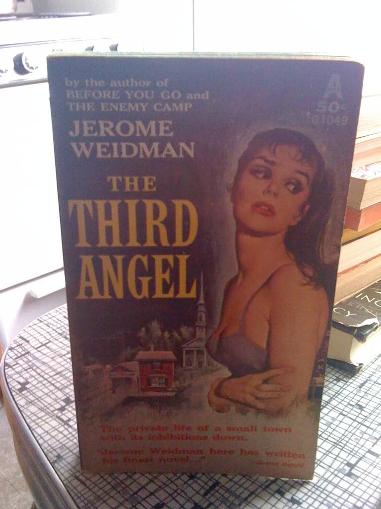 Image for The Third Angel