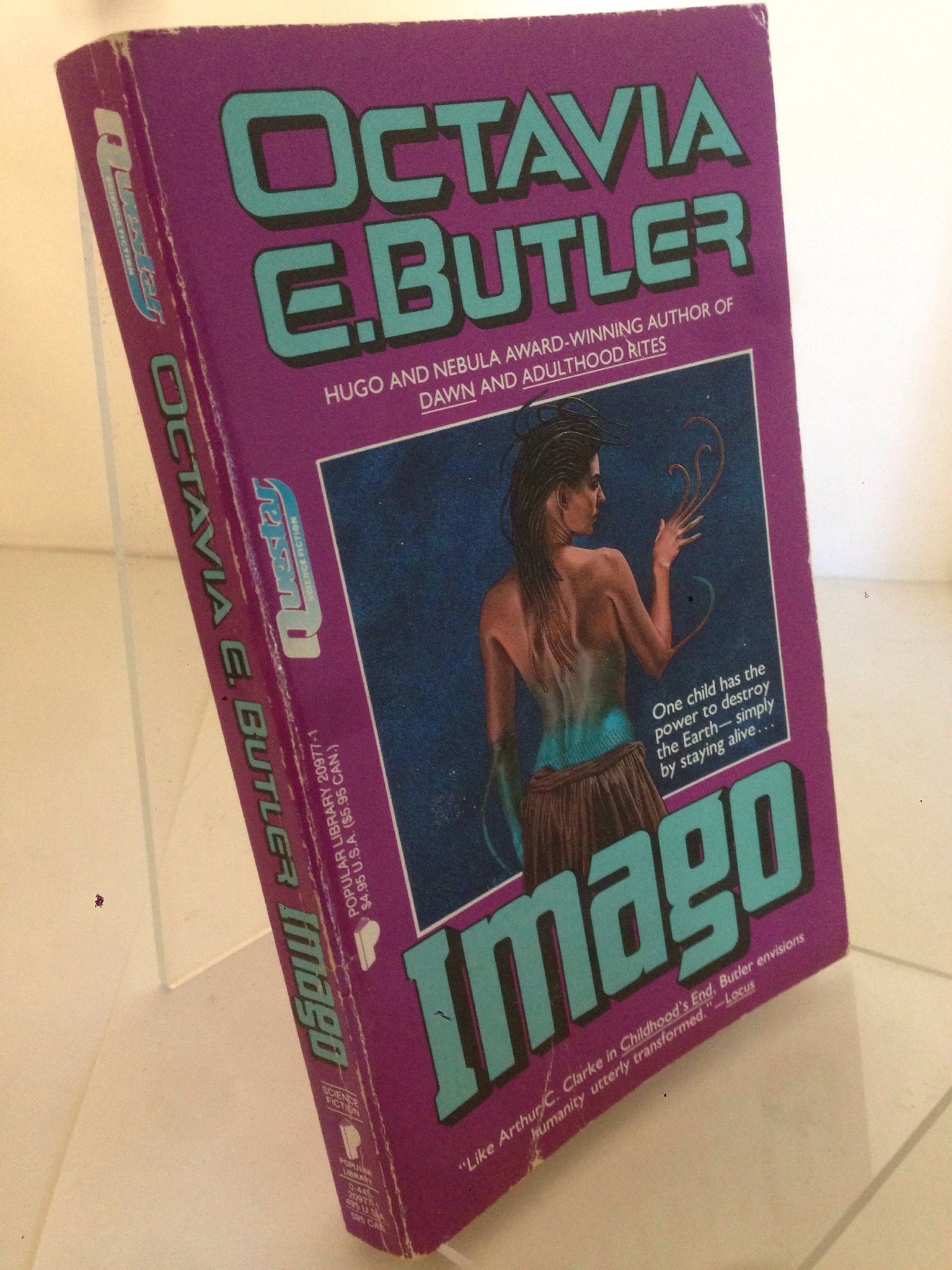 Image for Imago