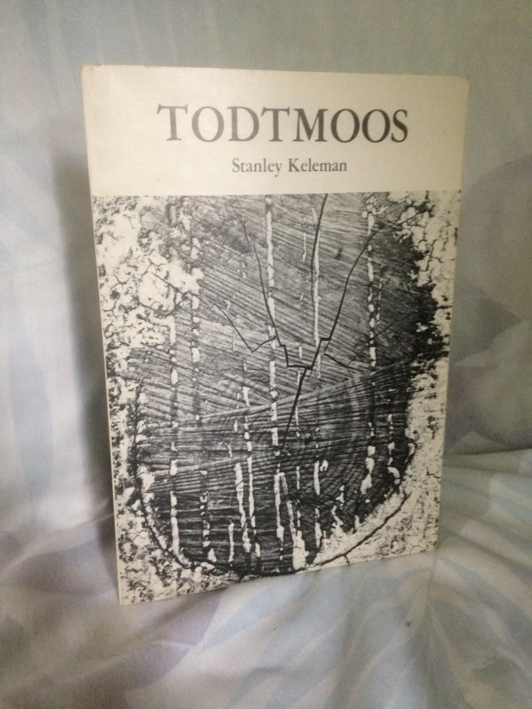 Image for Todtmoos